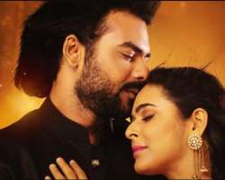 He appeared in the music video of the songs Dil Mein Hindustan and Khwabeeda alongside his ex-girlfriend Madhurima Tuli.